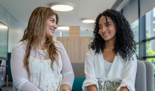 Curso Acercamiento a las Intervenciones Psicosociales