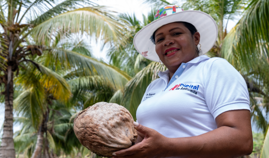 Curso Introducción a la Horticultura