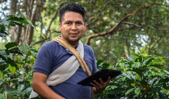 Diplomado Introducción a los Sistemas de Información Geográfica