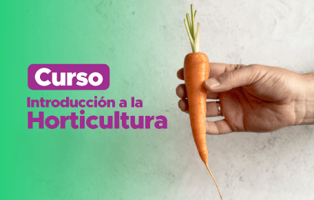 Curso Introducción a la Horticultura