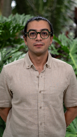 Decano Facultad de Educación